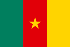 Franchise Cameroon